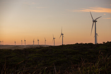 A row of wind turbines at sunset. Albany Wind Farm, Western Australia. 