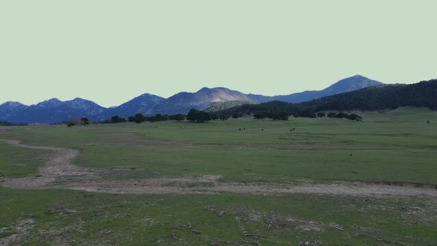Scenic views of wild horses at Eynif Plateau, İbradı, Antalya