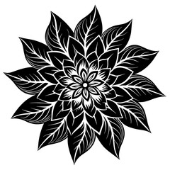    Flower vector illustration.
