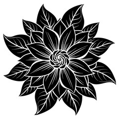    Flower vector illustration.
