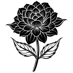    Flower vector illustration.

