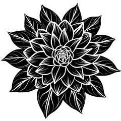    Flower vector illustration.
