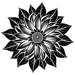    Flower vector illustration.
