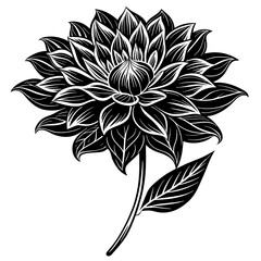    Flower vector illustration.
