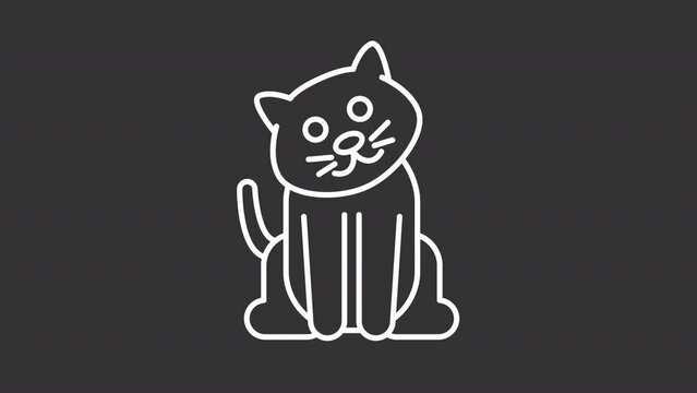 Animated cat white icon. Domestic animal. Pet moving tail and head line animation. Animal character. Cute kitten. Isolated illustration on dark background. Transition alpha video. Motion graphic