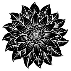    Flower vector illustration.
