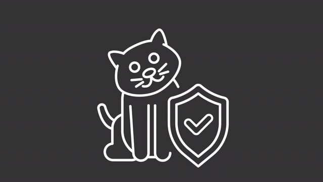 Animal security white line animation. Animated cat with shield icon. Pet care service. Veterinary care. Isolated illustration on dark background. Transition alpha video. Motion graphic