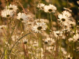 Primer pack de fotos