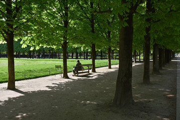 A l'ombre des marronniers au printemps au jardin des Tuileries à Paris. France