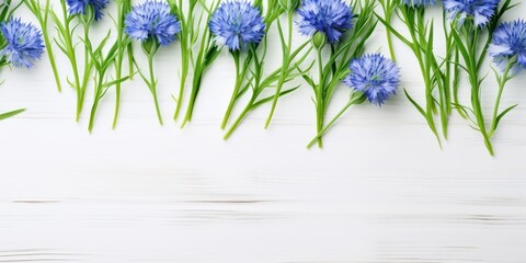 Beautiful indigo cornflower flowers on a white wooden background, in a top view with copy space for text - obrazy, fototapety, plakaty