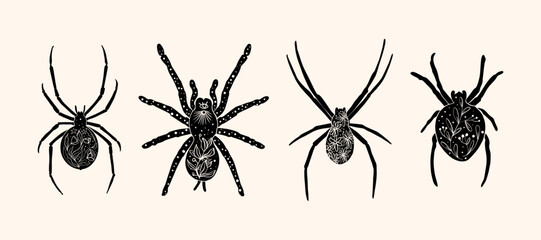 Set of various spiders in linocut style. Trendy vector illustration. - 785080136