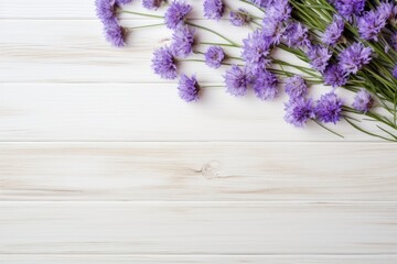 Beautiful lavender cornflower flowers on a white wooden background, in a top view with copy space for text. A flat lay composition