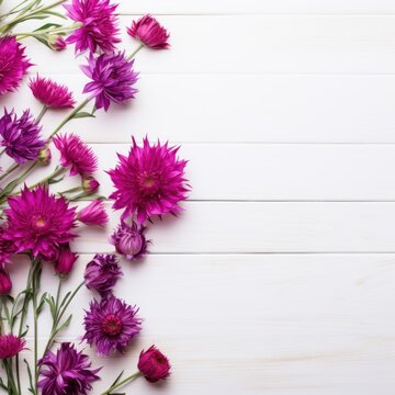 Beautiful magenta cornflower flowers on a white wooden background, in a top view with copy space for text