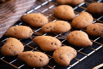 Freshly baked cookies in oven. Homemade food - 785082989