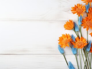 Beautiful orange cornflower flowers on a white wooden background, in a top view with copy space for text. A flat lay composition