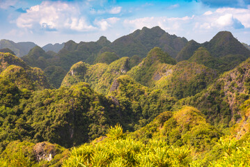 Cat Ba island in Vietnam. Green mountains covered with tropical rainforest