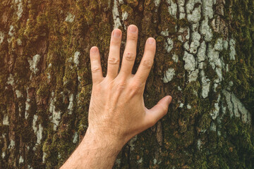 Earth day concept, closeup of male environmentalist hand gently touching the large tree trunk crust
