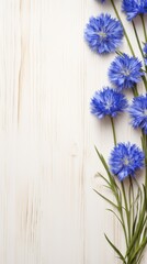 Beautiful teal cornflower flowers on a white wooden background, in a top view with copy space for text