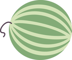 Watermelon vector summer illustration