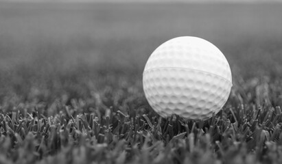 Game ball for playing golf on green grass