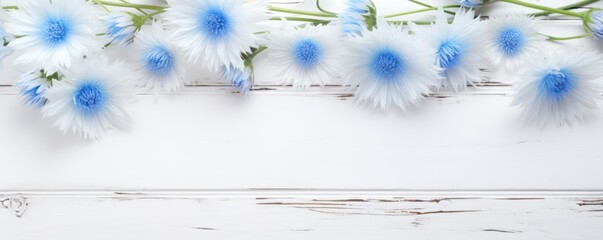 Beautiful white cornflower flowers on a white wooden background, in a top view with copy space for text