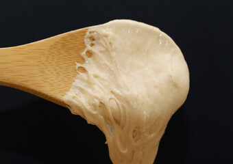 Mature sourdough starter on a wooden spoon
- 785089345