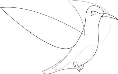 One line colibri flies design silhouette. Hand drawn minimalism style bird vector illustration.