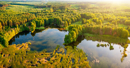 Drone view of a quiet lake surrounded by a coniferous forest. Small Polissya, Ukraine, Europe.