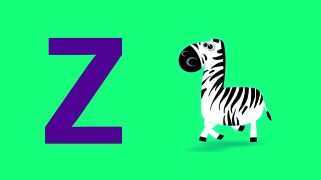 Z letter big color like zebra cartoon animation. Animal loop. Educational serie with bold style character for children. Good for education movies, presentation, learning alphabet, etc...