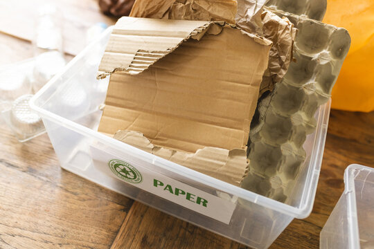 Cardboard and paper fill recycling bin