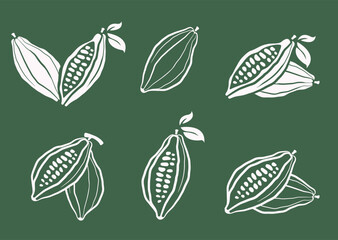 Cacao beans vector illustration set. Cocoa hand drawn doodle. Chocolate bean sketch. Cacao plant part, cacao leaves. Design for cafe chocolate dessert, shop menu, chocolate bar label, logo.