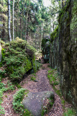 Hiking trail in Broumovske steny mountains in Czech republic