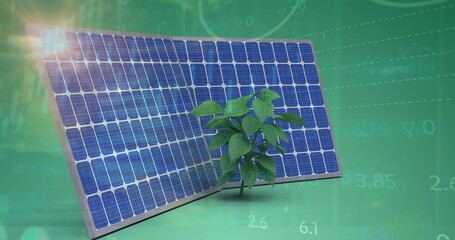 Image of financial data processing over solar panels and plant on green background
