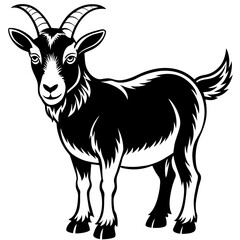 goat isolated on white