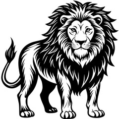 lion illustration