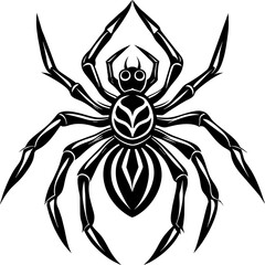 spider vector