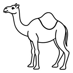 camel vector