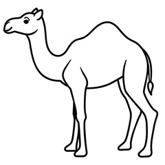 camel vector
