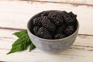 Natural organic blackberry in the bowl