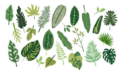 Vector flat cartoon illustration set of tropical leaves isolated on white background. Highly detailed colorful plant collection. Botanical elements for cosmetics, spa, beauty care products , fashion