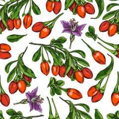 Seamless pattern with hand drawn colorful goji berries sketch style