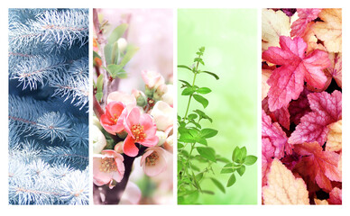 Four seasons of year. Set of vertical nature banners with winter, spring, summer and autumn scenes....