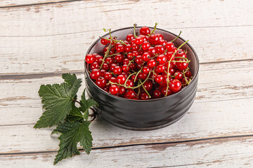 Sweet ripe red currant berries