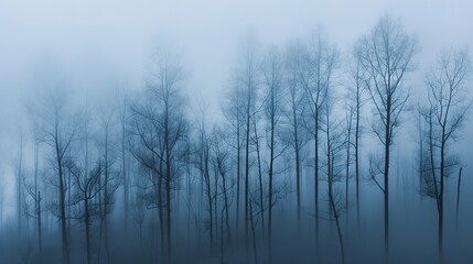Sparse trees, foggy backdrop, close-up, high-angle, minimalist forest, muted morning hues