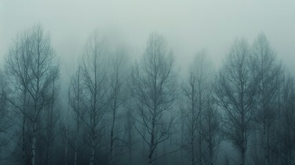 Sparse trees, foggy backdrop, close-up, high-angle, minimalist forest, muted morning hues 