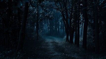 Shadowy path through trees, close-up, straight-on shot, night forest journey, dim starlight 