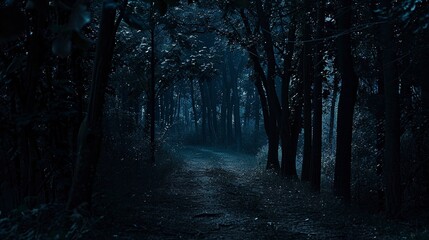 Fototapeta premium Shadowy path through trees, close-up, straight-on shot, night forest journey, dim starlight 
