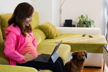 happy pregnant woman touches her belly on the couch at home in front of laptop makes video call. bored dog.