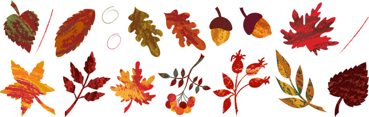 Vector set of isolated elements of autumn abstract texture leaves of maple, oak and rowan berries.