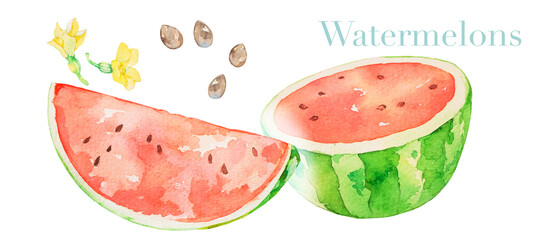 水彩で描いた美味しそうなスイカのイラストセット素材